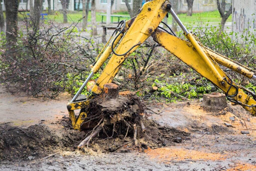 Stump Grinding Solutions