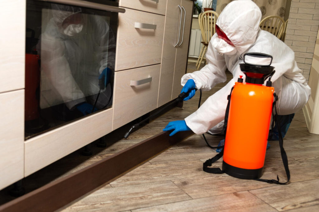 Termite Control Services